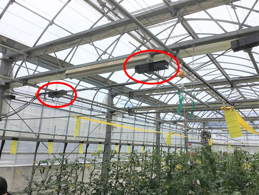 図１　磁歪材料による振動発生装置（東北特殊鋼株式会社製）をパイプに設置したトマト栽培施設（JA全農内の展示圃場）