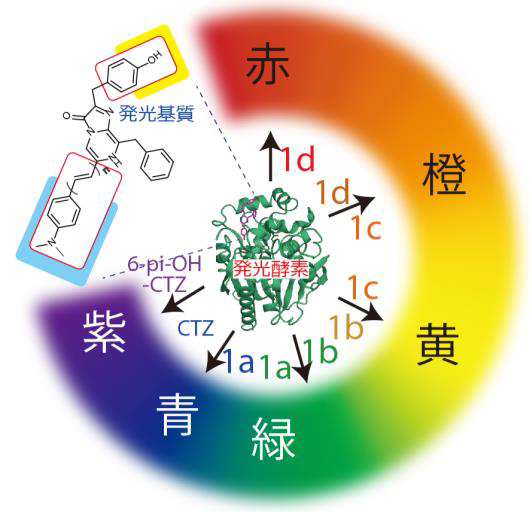 概要図