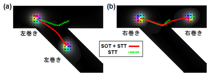 本研究のシミュレーション結果。磁気渦の巻き方向が異なる磁気スキルミオンに対し、磁化に働く力のうち1種類だけを利用した場合（緑線）と2種類を組み合わせた場合（赤線・本研究の手法）の動きを示す。
