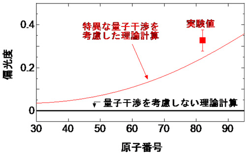 偏光度の計算と実験結果の比較