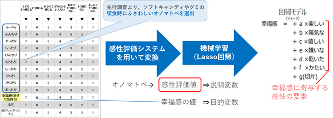 実験および解析手順